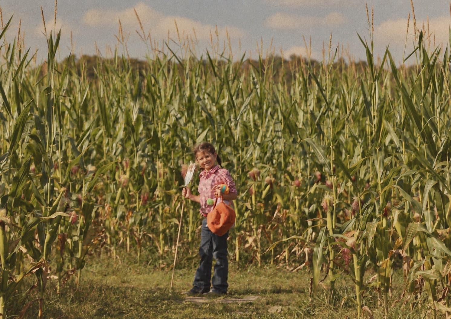 Corn Mazes